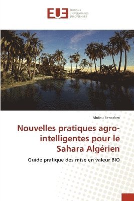 Nouvelles pratiques agro-intelligentes pour le Sahara Algérien