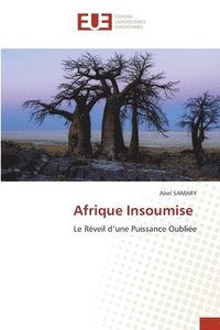 bokomslag Afrique Insoumise
