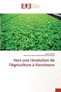 bokomslag Vers une révolution de l'Agriculture à Korsimoro