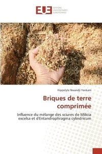 bokomslag Briques de terre comprimée