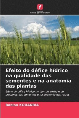 bokomslag Efeito do défice hídrico na qualidade das sementes e na anatomia das plantas