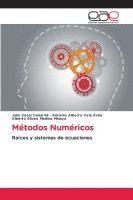 bokomslag Métodos Numéricos