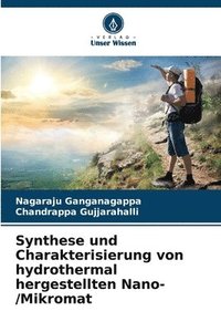 bokomslag Synthese und Charakterisierung von hydrothermal hergestellten Nano-/Mikromat