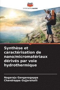 bokomslag Synthèse et caractérisation de nano/micromatériaux dérivés par voie hydrothermique