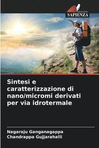 bokomslag Sintesi e caratterizzazione di nano/micromi derivati per via idrotermale