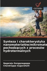 bokomslag Synteza i charakterystyka nanomaterialów/mikromaterialów pochodz?cych z procesów hydrotermalnych