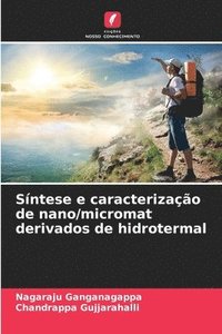 bokomslag Síntese e caracterização de nano/micromat derivados de hidrotermal