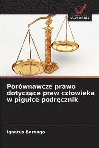 bokomslag Porównawcze prawo dotycz?ce praw czlowieka w pigulce podr?cznik