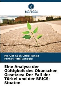 bokomslag Eine Analyse der Gültigkeit des Okunschen Gesetzes: Der Fall der Türkei und der BRICS-Staaten