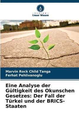 bokomslag Eine Analyse der Gültigkeit des Okunschen Gesetzes: Der Fall der Türkei und der BRICS-Staaten