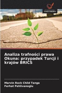 bokomslag Analiza trafno?ci prawa Okuna: przypadek Turcji i krajów BRICS
