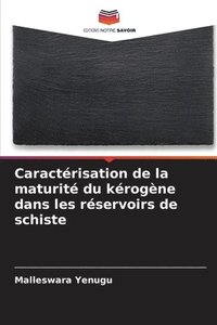 bokomslag Caractérisation de la maturité du kérogène dans les réservoirs de schiste