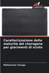 bokomslag Caratterizzazione della maturità del cherogene per giacimenti di scisto