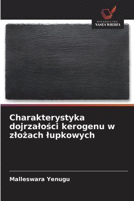 bokomslag Charakterystyka dojrzalo?ci kerogenu w zlo?ach lupkowych