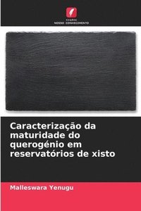 bokomslag Caracterização da maturidade do querogénio em reservatórios de xisto