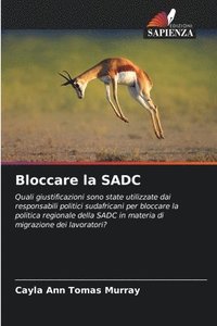 bokomslag Bloccare la SADC