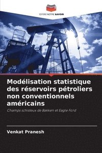 bokomslag Modélisation statistique des réservoirs pétroliers non conventionnels américains