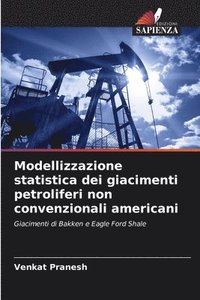 bokomslag Modellizzazione statistica dei giacimenti petroliferi non convenzionali americani
