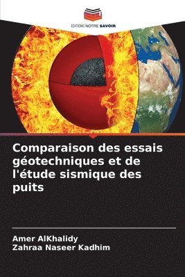 bokomslag Comparaison des essais géotechniques et de l'étude sismique des puits