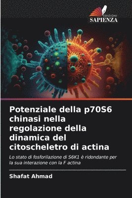 bokomslag Potenziale della p70S6 chinasi nella regolazione della dinamica del citoscheletro di actina