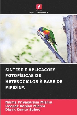 bokomslag Síntese E Aplicações Fotofísicas de Heterociclos À Base de Piridina