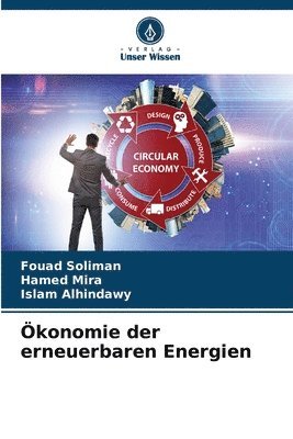 bokomslag Ökonomie der erneuerbaren Energien