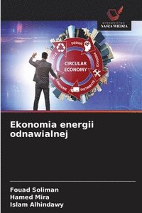 bokomslag Ekonomia energii odnawialnej