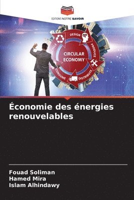 Fouad Soliman, Hamed Mira, Islam Alhindawy - Économie des énergies renouvelables, Häftad