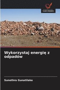 bokomslag Wykorzystaj energi? z odpadów