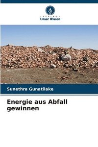 bokomslag Energie aus Abfall gewinnen