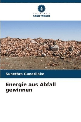 bokomslag Energie aus Abfall gewinnen