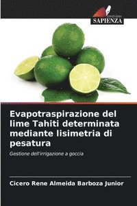 bokomslag Evapotraspirazione del lime Tahiti determinata mediante lisimetria di pesatura