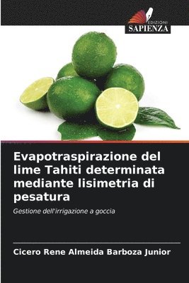 bokomslag Evapotraspirazione del lime Tahiti determinata mediante lisimetria di pesatura