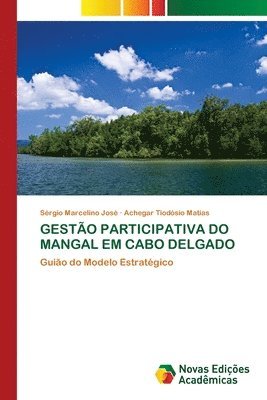 bokomslag Gestão Participativa Do Mangal Em Cabo Delgado