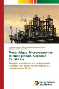 bokomslag Moçambique, Microcosmo dos dilemas globais, Corpos e Territórios