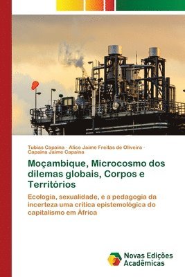 bokomslag Moçambique, Microcosmo dos dilemas globais, Corpos e Territórios
