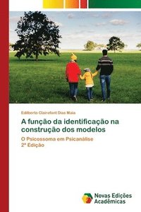 bokomslag A função da identificação na construção dos modelos