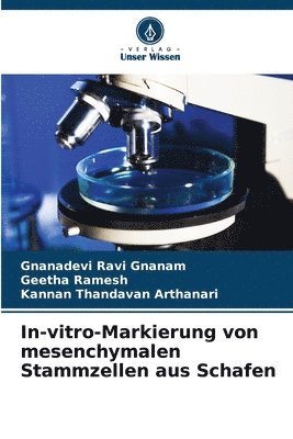 bokomslag In-vitro-Markierung von mesenchymalen Stammzellen aus Schafen