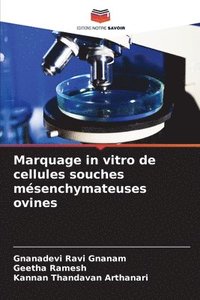 bokomslag Marquage in vitro de cellules souches mésenchymateuses ovines