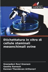bokomslag Etichettatura in vitro di cellule staminali mesenchimali ovine