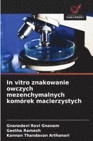 bokomslag In vitro znakowanie owczych mezenchymalnych komórek macierzystych