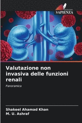 bokomslag Valutazione non invasiva delle funzioni renali