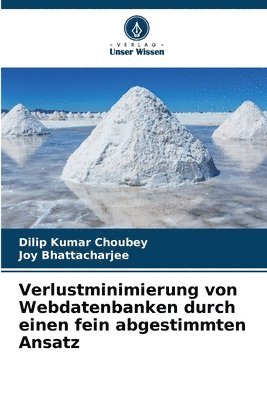 Dilip Kumar Choubey, Joy Bhattacharjee - Verlustminimierung von Webdatenbanken durch einen fein abgestimmten Ansatz, Häftad