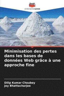 Dilip Kumar Choubey, Joy Bhattacharjee - Minimisation des pertes dans les bases de données Web grâce à une approche fine, Häftad