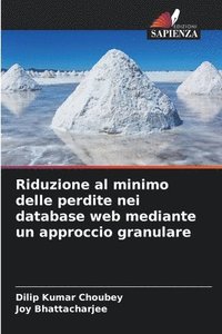 bokomslag Riduzione al minimo delle perdite nei database web mediante un approccio granulare