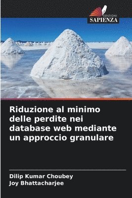 bokomslag Riduzione al minimo delle perdite nei database web mediante un approccio granulare