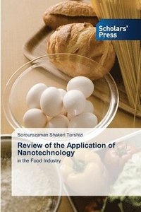 bokomslag Review of the Application of Nanotechnology