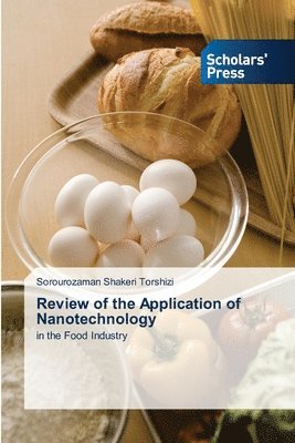 bokomslag Review of the Application of Nanotechnology