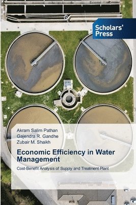 bokomslag Economic Efficiency in Water Management