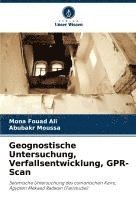 bokomslag Geognostische Untersuchung, Verfallsentwicklung, GPR-Scan